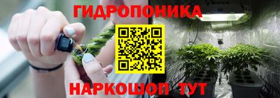 молекула духа Севастополь