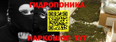 ГАЛЛЮЦИНОГЕННЫЕ ГРИБЫ Северобайкальск