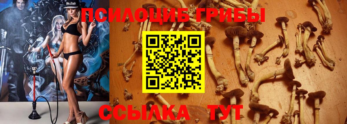 Галлюциногенные грибы Magic Shrooms  купить  сайты  Вход с VPN  Орск  Галлюциногенные грибы мухоморы 
