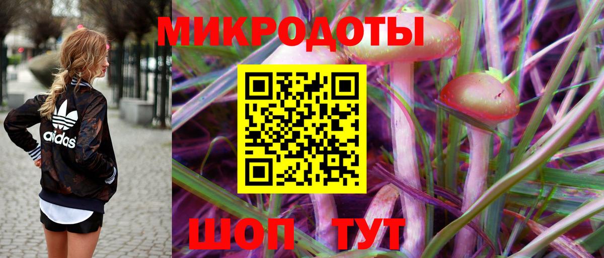 Псилоцибиновые грибы Psilocybe Орск