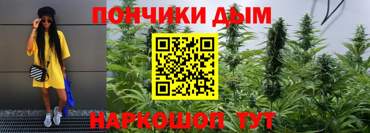 Бошки марихуана Bruce Banner  Вход с VPN  Орск  Бошки марихуана планчик 